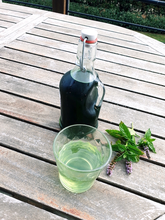 Recette Sirop de menthe maison facile